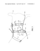 ANIMAL HARNESS diagram and image