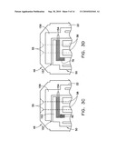 BIOSENSOR WITH PREDETERMINED DOSE RESPONSE CURVE AND METHOD OF MANUFACTURING diagram and image