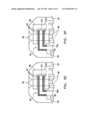 BIOSENSOR WITH PREDETERMINED DOSE RESPONSE CURVE AND METHOD OF MANUFACTURING diagram and image