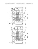 BIOSENSOR WITH PREDETERMINED DOSE RESPONSE CURVE AND METHOD OF MANUFACTURING diagram and image