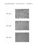 NITRIDE SEMICONDUCTOR, NITRIDE SEMICONDUCTOR CRYSTAL GROWTH METHOD, AND NITRIDE SEMICONDUCTOR LIGHT EMITTING ELEMENT diagram and image