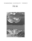 METHOD FOR DETECTING DEFECTIVE LIQUID EJECTION, AND DEFECTIVE LIQUID EJECTION DETECTION DEVICE diagram and image