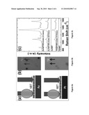 Microsphere Having Hot Spots and Method for Identifying Chemicals Through Surface Enhanced Raman Scattering Using the Same diagram and image