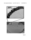 Microsphere Having Hot Spots and Method for Identifying Chemicals Through Surface Enhanced Raman Scattering Using the Same diagram and image