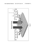 Microsphere Having Hot Spots and Method for Identifying Chemicals Through Surface Enhanced Raman Scattering Using the Same diagram and image