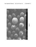 Microsphere Having Hot Spots and Method for Identifying Chemicals Through Surface Enhanced Raman Scattering Using the Same diagram and image