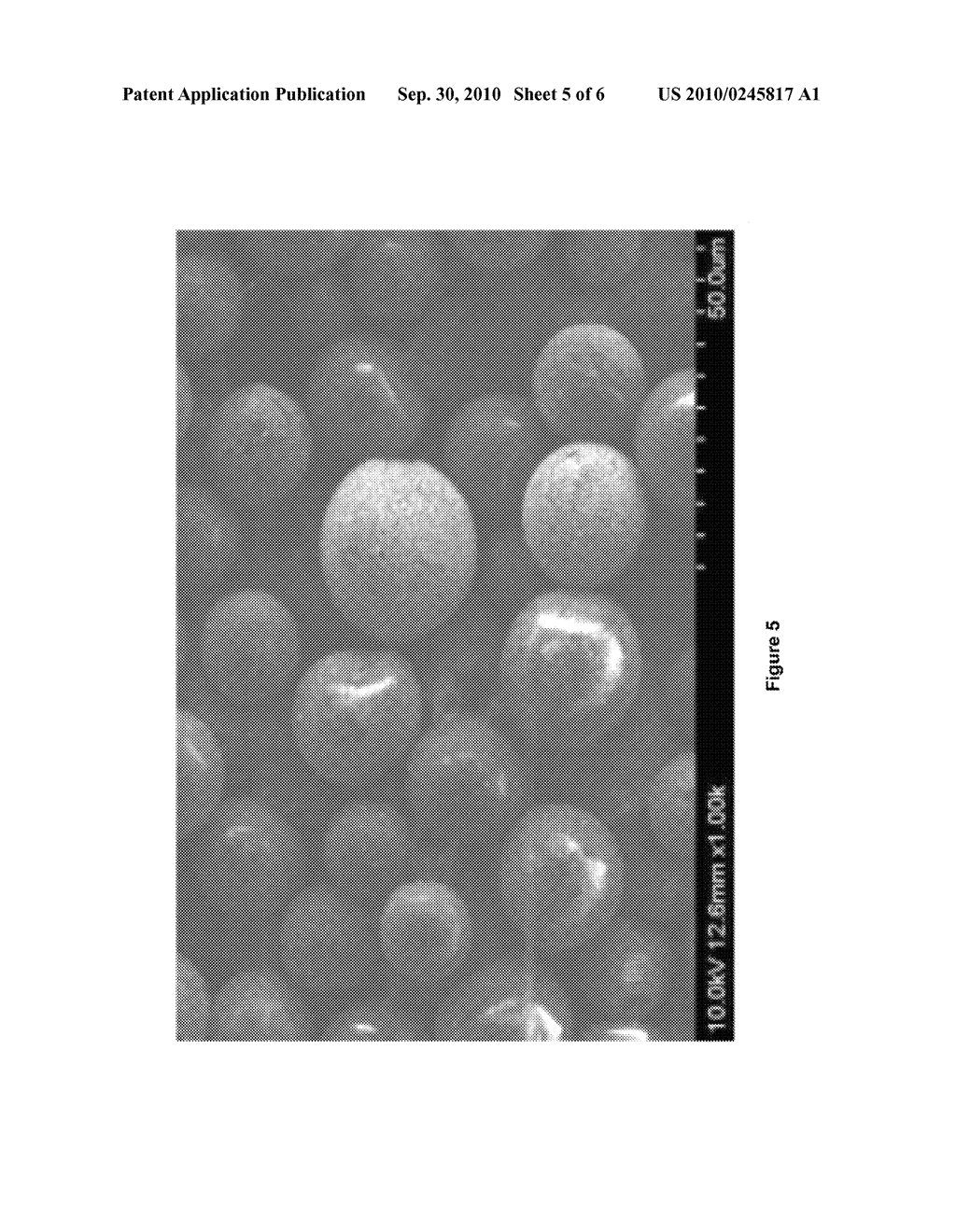 Microsphere Having Hot Spots and Method for Identifying Chemicals Through Surface Enhanced Raman Scattering Using the Same - diagram, schematic, and image 06