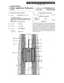 PERMANENT SEISMIC SOURCE diagram and image