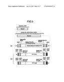 Combination Type Optical Disk Medium, Its Reproduction Method And Optical Disk Apparatus diagram and image