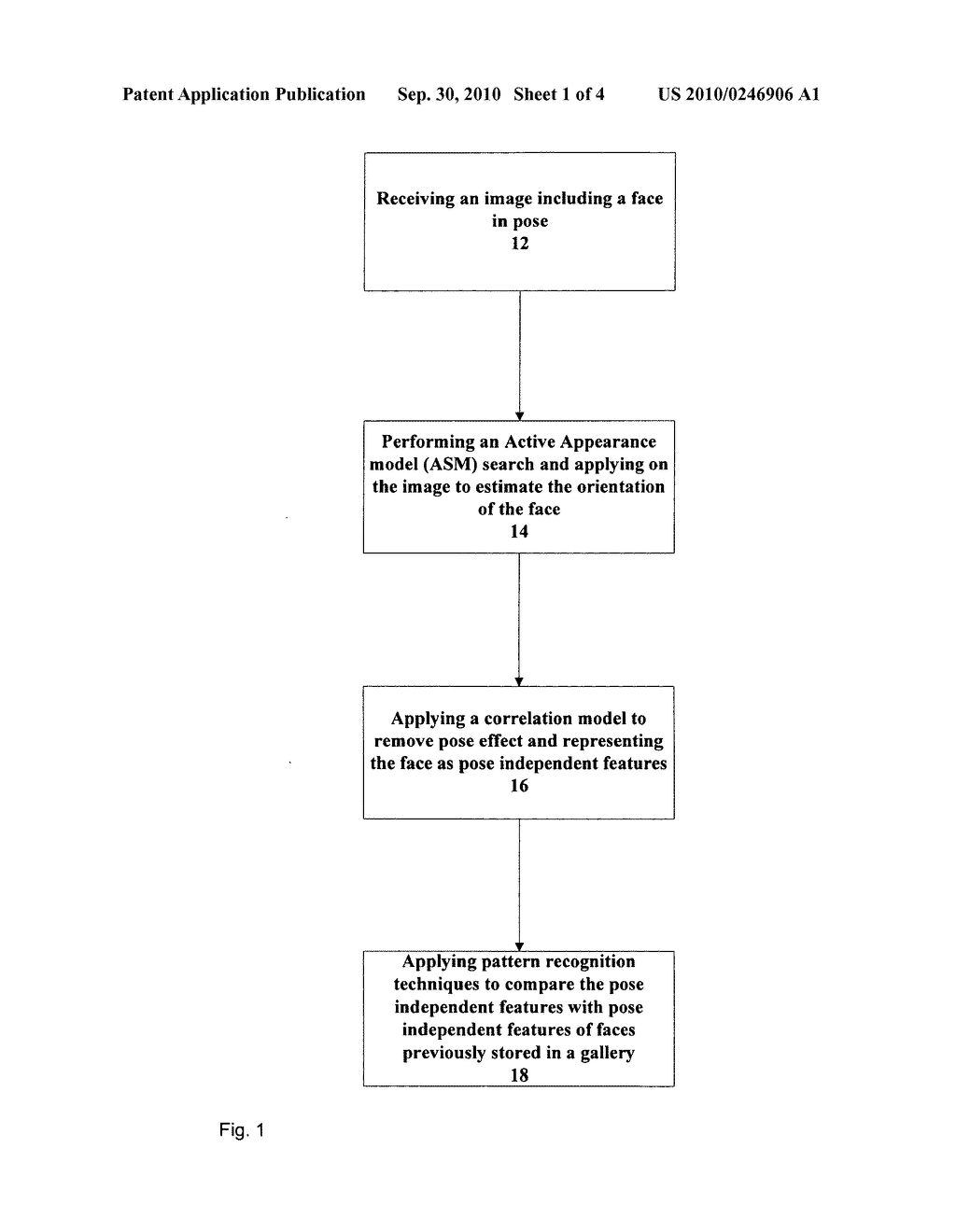 FACE RECOGNITION - diagram, schematic, and image 02