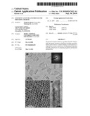 GOETHITE NANOTUBE AND PROCESS FOR PREPARING THEREOF diagram and image