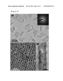 GOETHITE NANOTUBE AND PROCESS FOR PREPARING THEREOF diagram and image