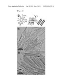 GOETHITE NANOTUBE AND PROCESS FOR PREPARING THEREOF diagram and image