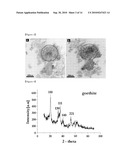 GOETHITE NANOTUBE AND PROCESS FOR PREPARING THEREOF diagram and image