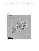 GOETHITE NANOTUBE AND PROCESS FOR PREPARING THEREOF diagram and image