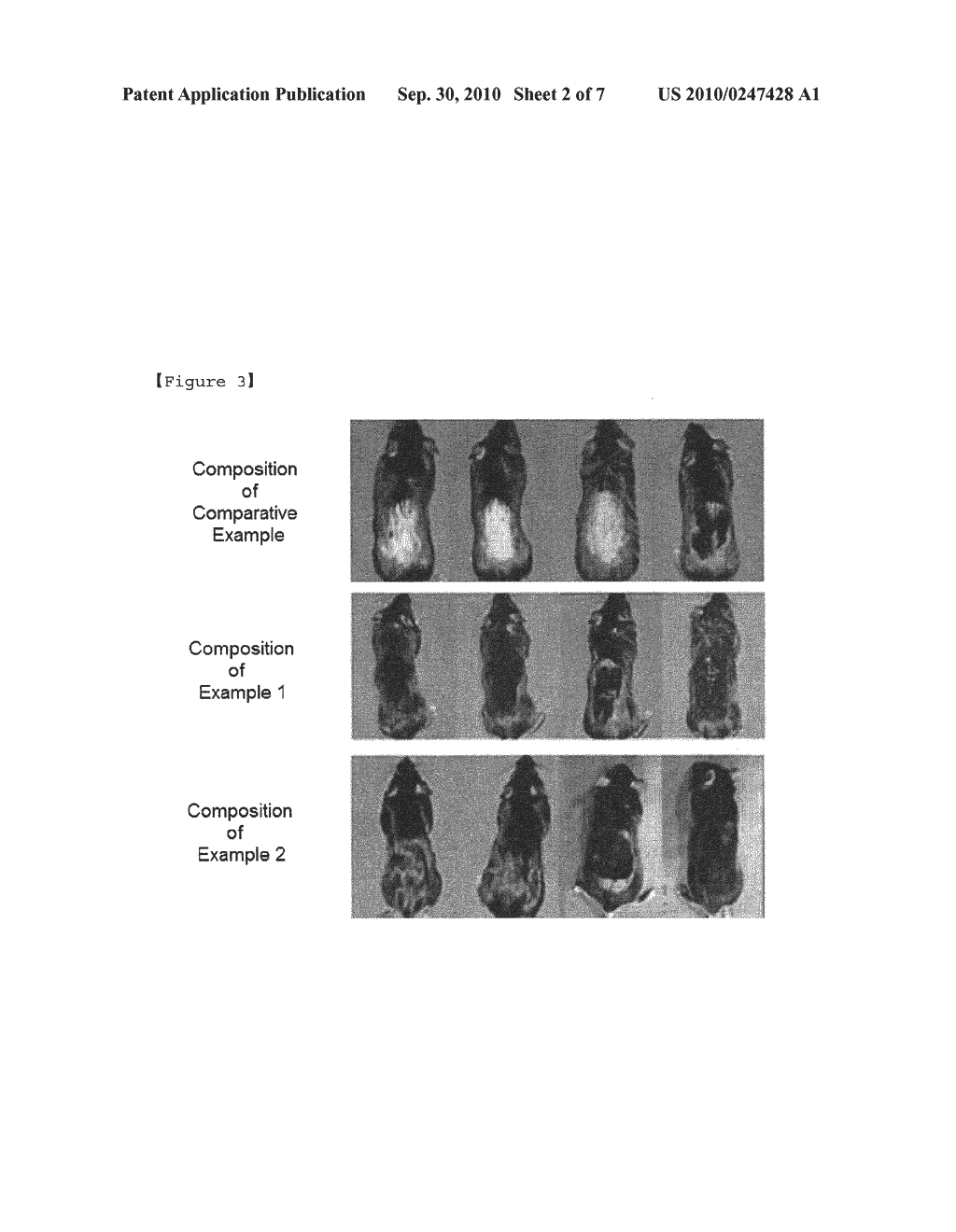 USES OF RARE EARTH ELEMENTS FOR HAIR IMPROVEMENT - diagram, schematic, and image 03