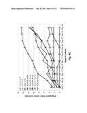 Anti-Angiogenic Extracts from Pomegranate diagram and image