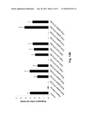 Anti-Angiogenic Extracts from Pomegranate diagram and image