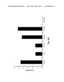 Anti-Angiogenic Extracts from Pomegranate diagram and image