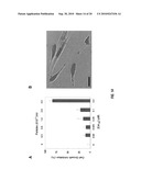 In vivo photodynamic therapy of cancer via a near infrared agent encapsulated in calcium phosphate nanoparticles diagram and image