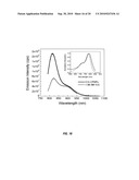 In vivo photodynamic therapy of cancer via a near infrared agent encapsulated in calcium phosphate nanoparticles diagram and image