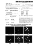 MATERIALS AND METHODS FOR THE DELIVERY OF BIOMOLECULES TO CELLS OF AN ORGAN diagram and image