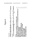 MATERIALS AND METHODS FOR THE DELIVERY OF BIOMOLECULES TO CELLS OF AN ORGAN diagram and image