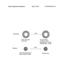 DRUG DELIVERY SYSTEM FOR HYDROPHOBIC DRUGS diagram and image