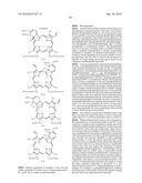 DRUG DELIVERY SYSTEM FOR HYDROPHOBIC DRUGS diagram and image