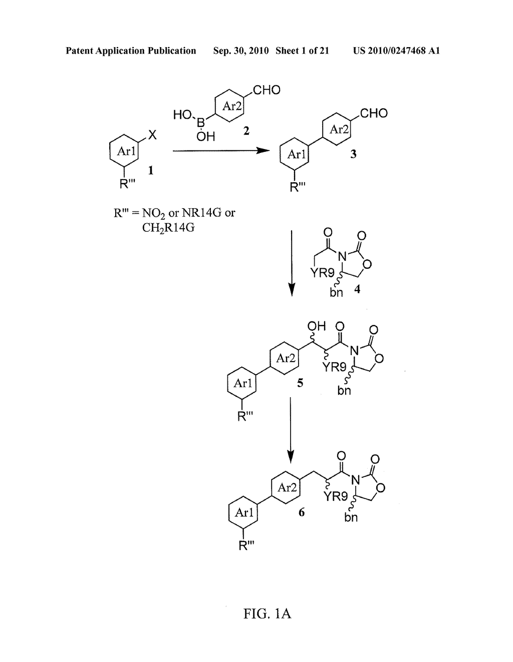 Compounds that modulate PPAR gamma-type receptors and cosmetic/pharmaceutical compositions comprising said compounds - diagram, schematic, and image 02