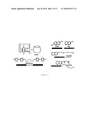 SUPRAMOLECULAR HANDCUFFS IN POLYMERIC ARCHITECTURE diagram and image