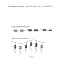 SUPRAMOLECULAR HANDCUFFS IN POLYMERIC ARCHITECTURE diagram and image