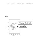 COMBINATION THERAPY OF AN AFUCOSYLATED ANTIBODY AND ONE OR MORE OF THE CYTOKINES GM CSF, M CSF AND/OR IL3 diagram and image