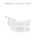 COMBINATION THERAPY OF AN AFUCOSYLATED ANTIBODY AND ONE OR MORE OF THE CYTOKINES GM CSF, M CSF AND/OR IL3 diagram and image