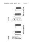 Recombinant virus vector originating in HHV-6 or HHV-7, method of producing the same, method of transforming host cell using the same, host cell transformed thereby and gene therapy method using the same diagram and image