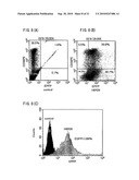 Recombinant virus vector originating in HHV-6 or HHV-7, method of producing the same, method of transforming host cell using the same, host cell transformed thereby and gene therapy method using the same diagram and image