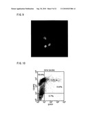 Recombinant virus vector originating in HHV-6 or HHV-7, method of producing the same, method of transforming host cell using the same, host cell transformed thereby and gene therapy method using the same diagram and image