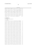 Recombinant virus vector originating in HHV-6 or HHV-7, method of producing the same, method of transforming host cell using the same, host cell transformed thereby and gene therapy method using the same diagram and image