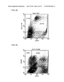 Recombinant virus vector originating in HHV-6 or HHV-7, method of producing the same, method of transforming host cell using the same, host cell transformed thereby and gene therapy method using the same diagram and image