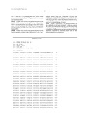 Recombinant virus vector originating in HHV-6 or HHV-7, method of producing the same, method of transforming host cell using the same, host cell transformed thereby and gene therapy method using the same diagram and image