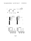 NEURONAL VIABILITY FACTOR AND USE THEREOF diagram and image