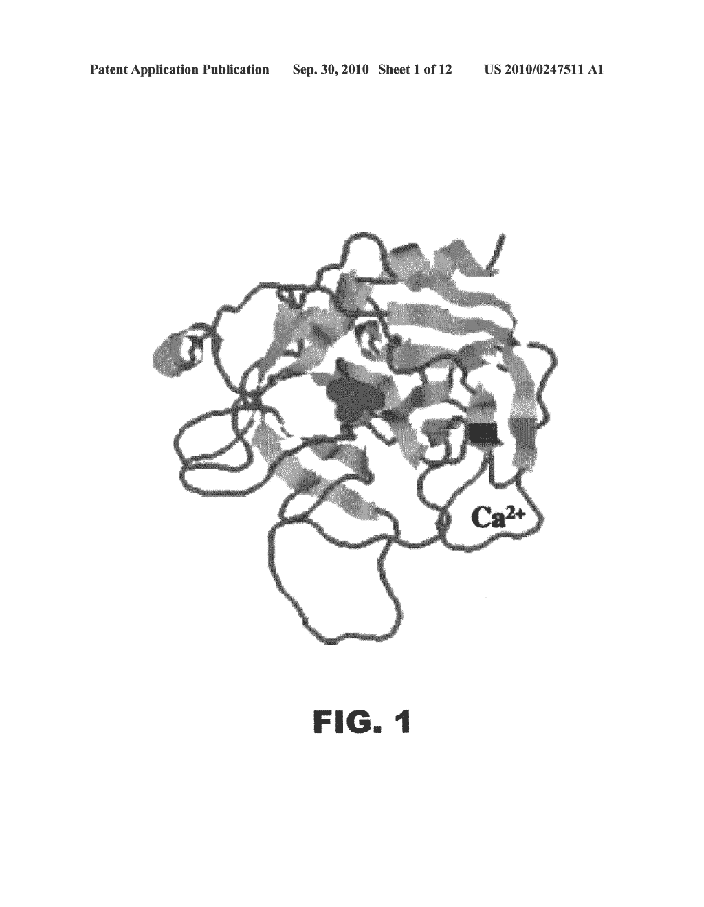 METHODS AND COMPOSITIONS FOR ACTIVATED PROTEIN C WITH REDUCED ANTICOAGULANT PROPERTIES - diagram, schematic, and image 02