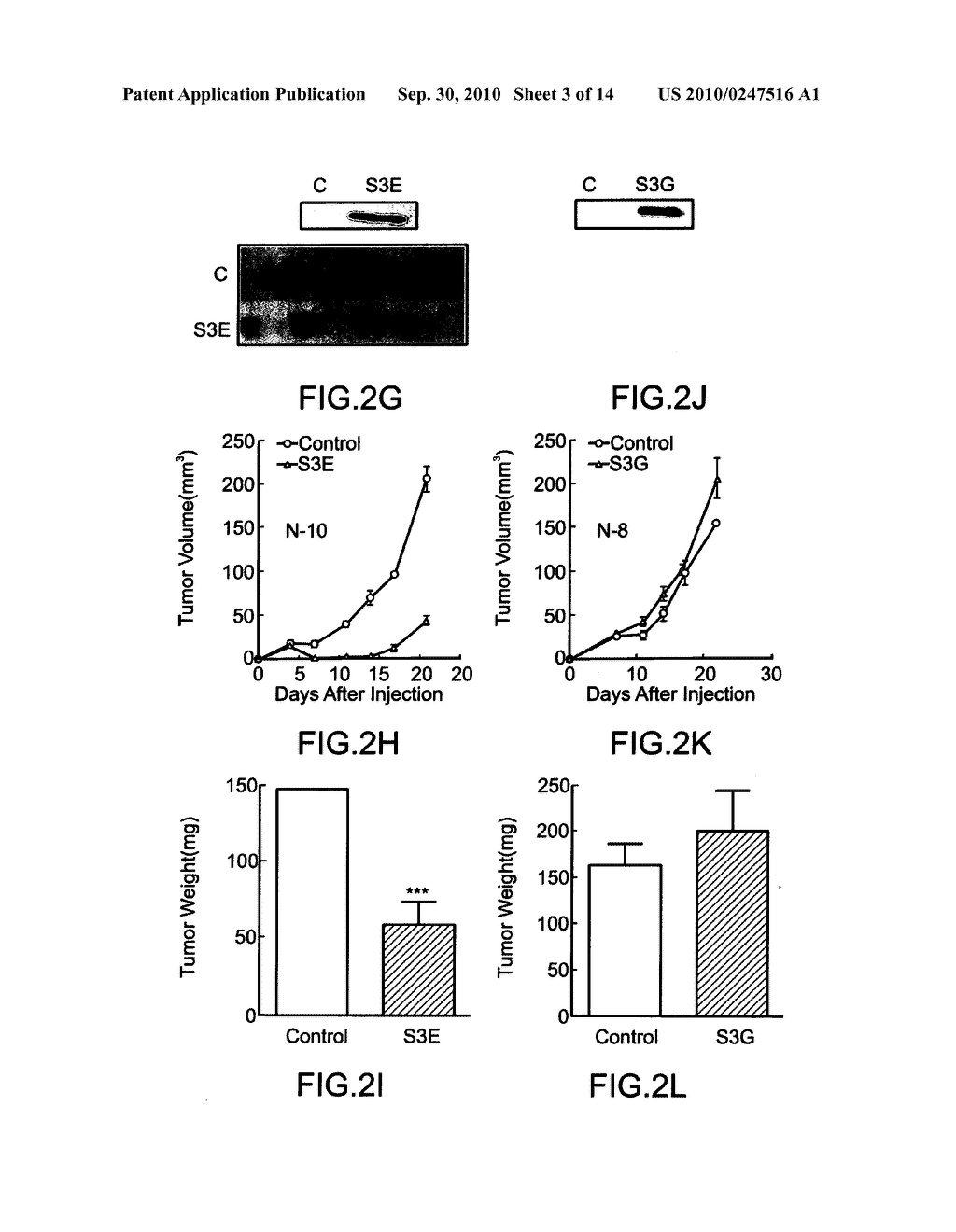 COMPOSITIONS COMPRISING SEMAPHORINS FOR THE TREATMENT OF ANGIOGENESIS RELATED DISEASES AND METHODS OF SELECTION THEREOF - diagram, schematic, and image 04