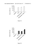 MODULATION OF THE TH-17 CELL MEDIATED IMMUNE RESPONSES diagram and image