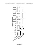 MODULATION OF THE TH-17 CELL MEDIATED IMMUNE RESPONSES diagram and image