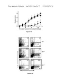 MODULATION OF THE TH-17 CELL MEDIATED IMMUNE RESPONSES diagram and image