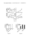 MODULATION OF THE TH-17 CELL MEDIATED IMMUNE RESPONSES diagram and image