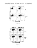 MODULATION OF THE TH-17 CELL MEDIATED IMMUNE RESPONSES diagram and image