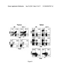 MODULATION OF THE TH-17 CELL MEDIATED IMMUNE RESPONSES diagram and image