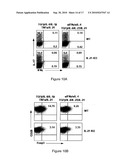 MODULATION OF THE TH-17 CELL MEDIATED IMMUNE RESPONSES diagram and image